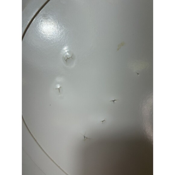 VINTAGE MELMINE MELMAC 21" TURKEY PLATTER - Picture 6 of 6